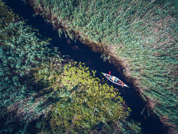 Danube Delta Full Day Trip from Bucharest