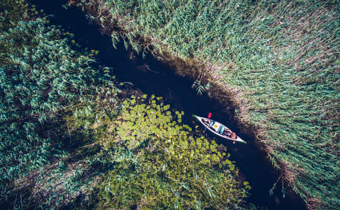 Danube Delta Full Day Trip from Bucharest