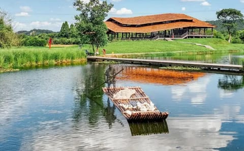 Liangzhu Archaeological Site Tour in Hangzhou
