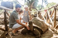 Prison Island and Giant Tortoises Half Day Local Boat Trip 9