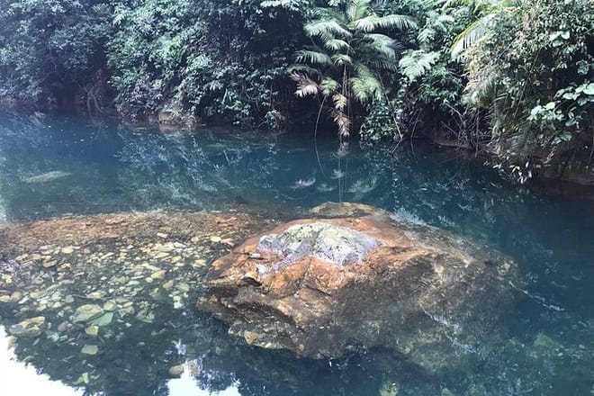 Private Day tour to Mt Dinghu and Seven Star Crags from Guangzhou 3