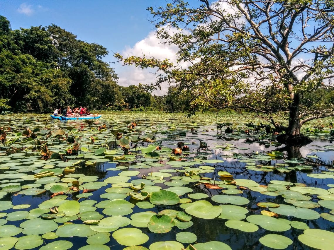Eco & Adventure Tour 01 7