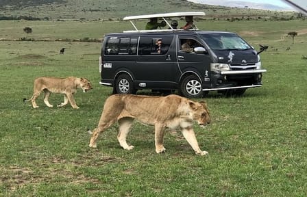 Nairobi National Park, Elephant Orphanage, Giraffe Center and Beads Center Tour