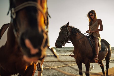Horse Riding Adventure in Sharm El Sheikh: Explore Sinai’s Beauty