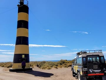 Full Day Nature Tour to Punta Ninfas from Puerto Madryn