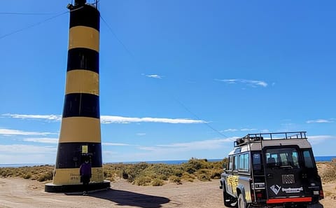 Full Day Nature Tour to Punta Ninfas from Puerto Madryn