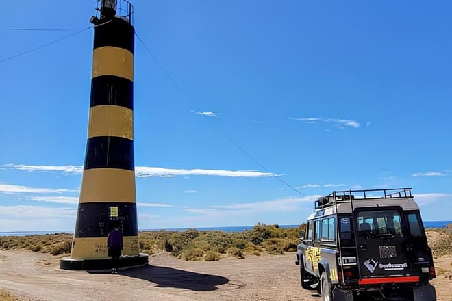 Full Day Tour to Punta Ninfas from Puerto Madryn 2