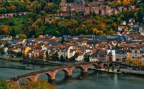Heidelberg and Mannheim Day Trip with Guided Tour