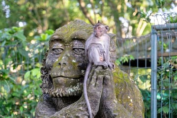 Private Full-Day Tour of Balinese Temples and Rice Terraces in Gianyar