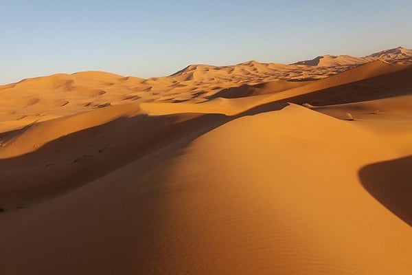 Things to do in Marrakesh