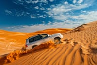 Burj Khalifa 148th floor visit, Dubai Mall shopping tour & Desert Safari with BBQ Dinner 1
