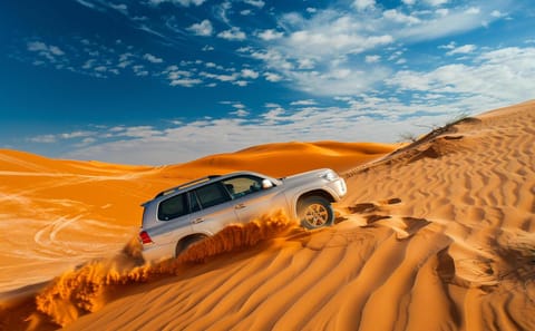 Burj Khalifa Visit, Dubai Mall Shopping, and Desert Safari Tour