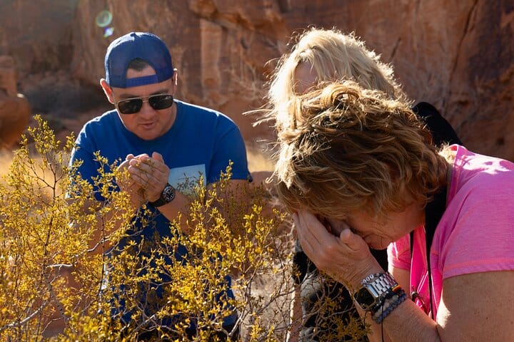 2025