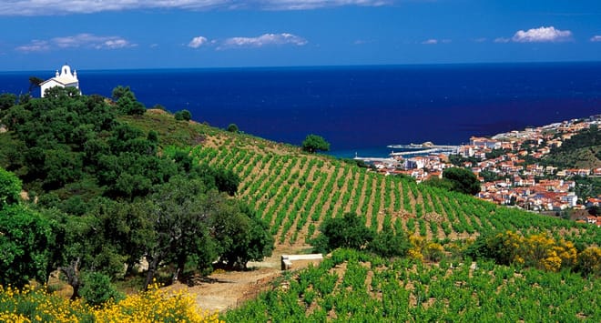 Private Shore Excursion: Collioure and Languedoc from Port Vendres