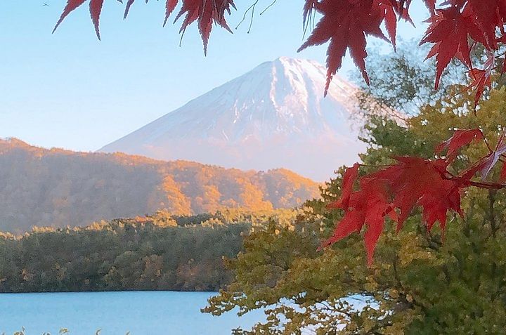 Mt Fuji and Gotemba Outlet tour from Tokyo