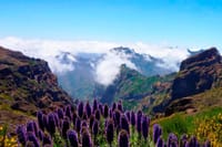 Nun's Valley &amp; Pico do Areeiro 4x4