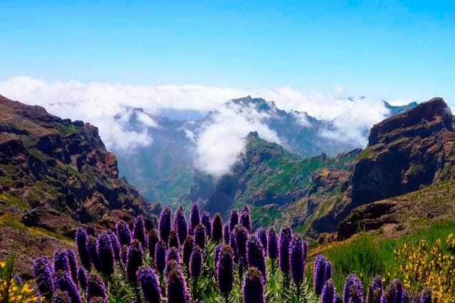 Nun's Valley &amp; Pico do Areeiro 4x4