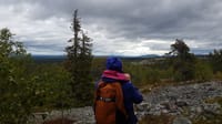 Secrets of Lappish Nature – Ukko-Luosto Fell 9