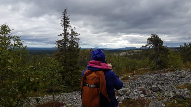 Secrets of Lappish Nature – Ukko-Luosto Fell 9