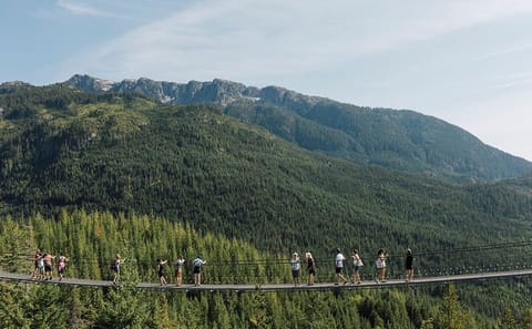 Private Vancouver Highlights Tour with Capilano Suspension Bridge