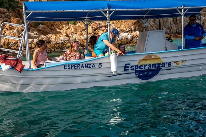 Cabo San Lucas Boat Tour photo 6