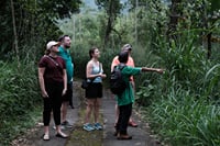 A guide point a natural bush and soft trek 