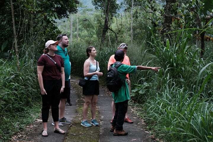 A guide point a natural bush and soft trek