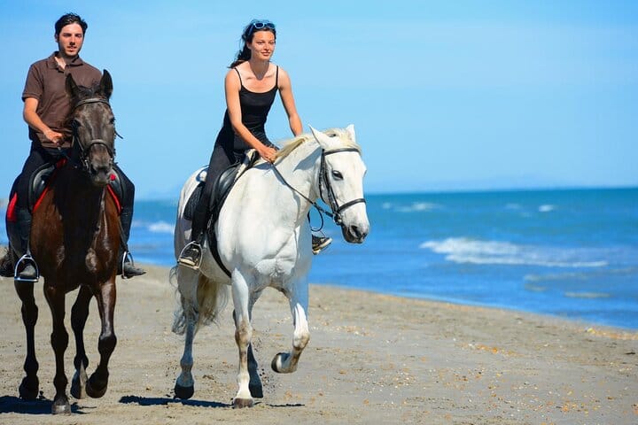 3-Hour Swim with Horses Experience in Hurghada