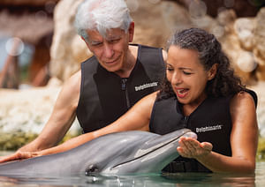 Dolphin Friendly Encounter Riviera Maya