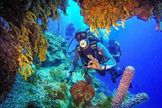 Scuba Diving at Catalina Island - 2 tank | 2 spots