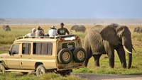 12 Days Kenya & Tanzania Combo Big Five Safari 9