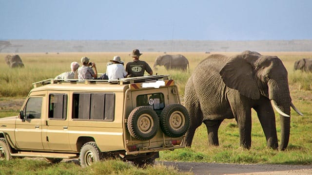 12 Days Kenya & Tanzania Combo Big Five Safari 9