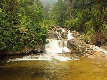 https://media-cdn.tripadvisor.com/media/attractions-splice-spp-720x480/0a/e8/37/54.jpg