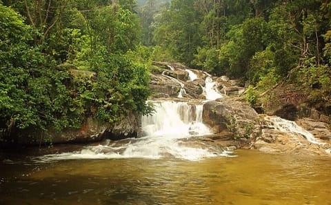 Private Tour of Batu Caves and Kanching Waterfalls in Kuala Lumpur