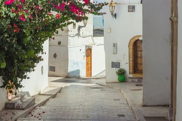Cádiz and Jerez Day Tour from Seville with Tastings