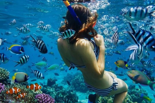 Private Bali Blue Lagoon Snorkeling with Lunch
