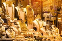 Private Dubai City tour & Miracle Garden tour 8