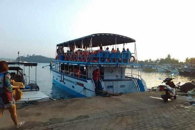 Whale Watching Experience in Mirissa 5