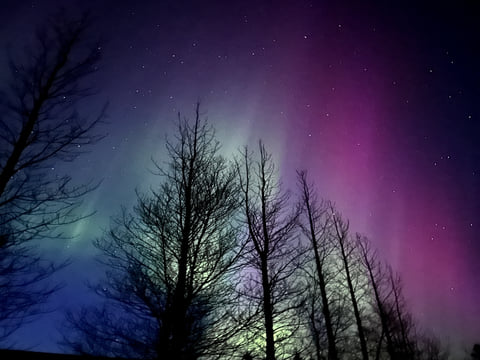 Private Northern Lights Tour – A Magical Arctic Escape