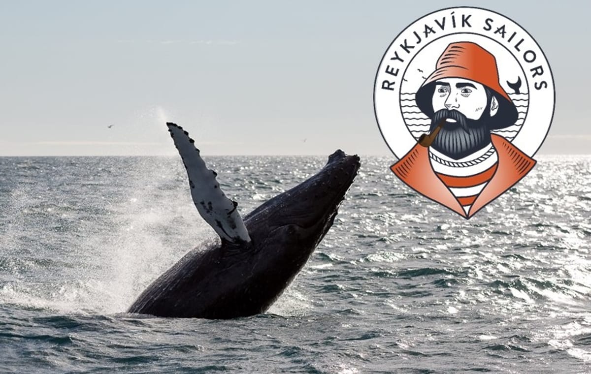 Whale Watching tour from Reykjavik