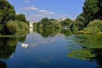 Explore Historic and Modern London on a Full Day Private Tour 9