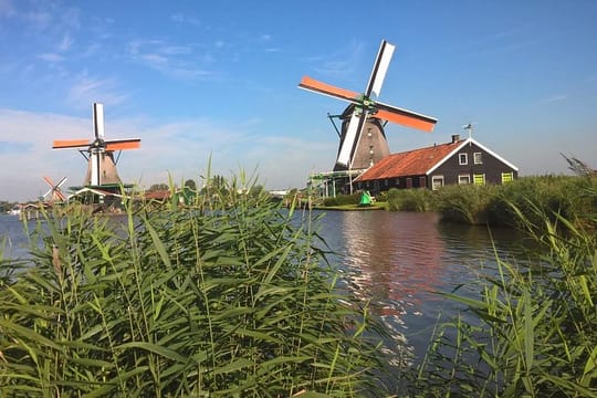 Zaanse Schans Small-Group Half-Day Tour from Amsterdam