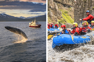 Whales & White Water Rafting