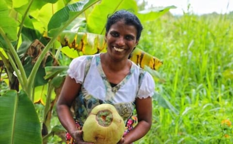Village Safari and Wildlife Tour in Colombo, Ella, and Kandy