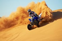 Dubai Half Day City Tour With Desert Safari, BBQ Dinner & More 6