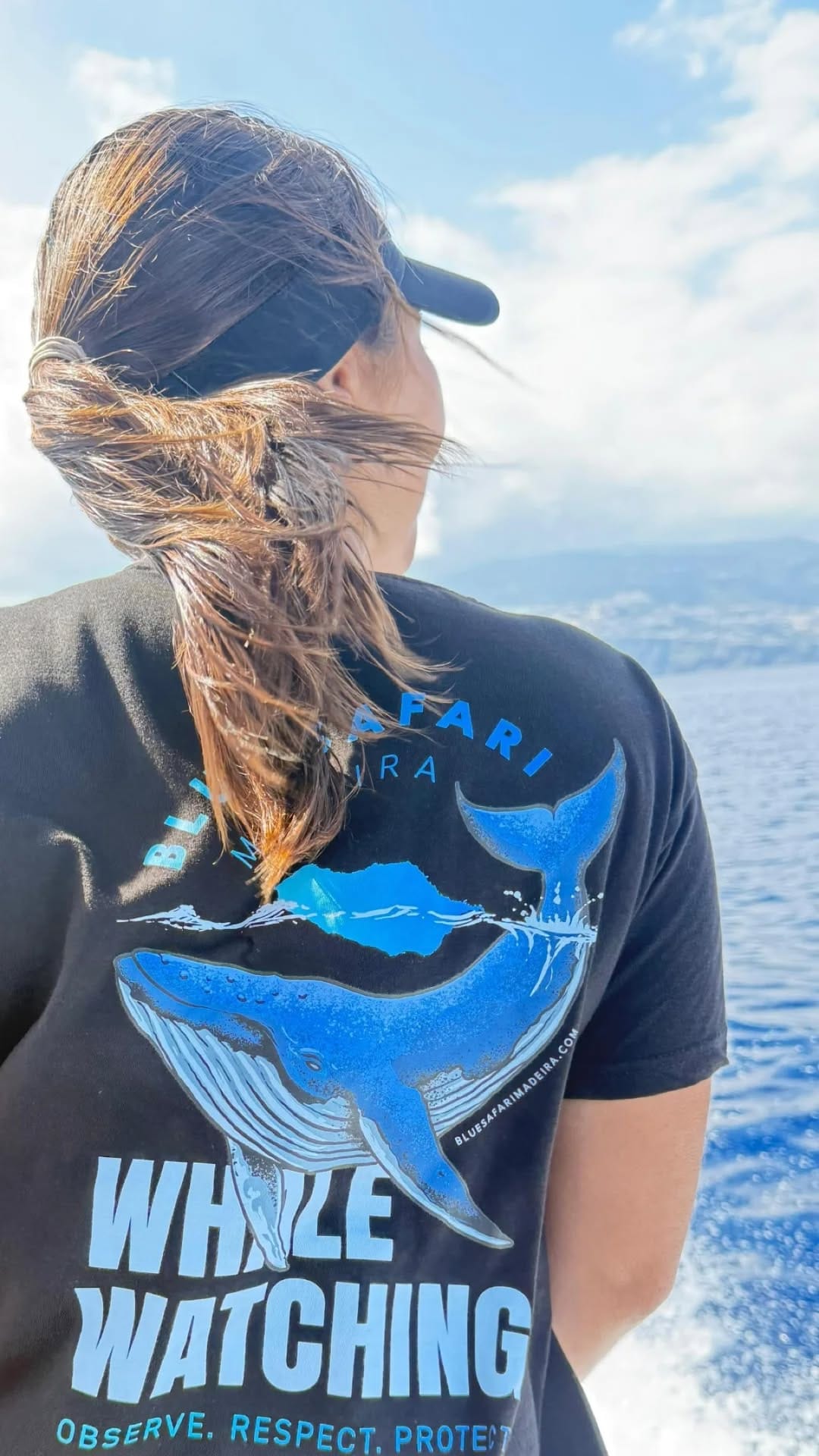 whale dolphins watching tour madeira funchal