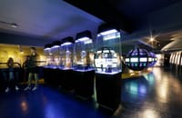 Boca Juniors Stadium Tour and Museum Admission Ticket 9
