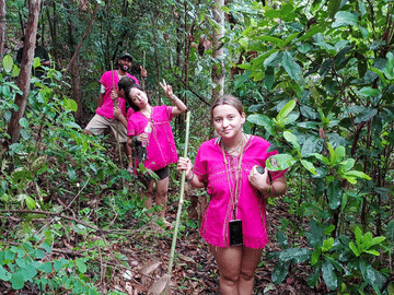 Chiang Mai: Elephant Sanctuary with Lunch Day Tours