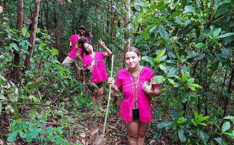 Chiang Mai: Elephant Sanctuary with Lunch Day Tours