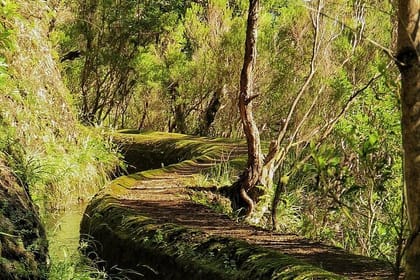 Private Magical Shore Excursion West